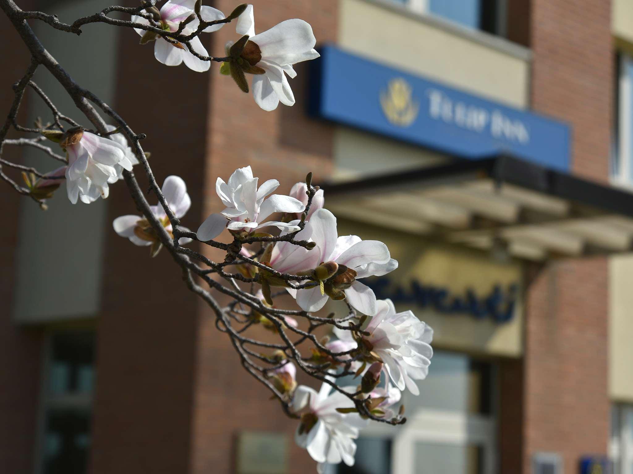 Tulip Turin West 3* Rivoli (Turin)